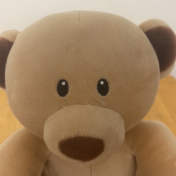 Ty Bear - Picture 4 of 4